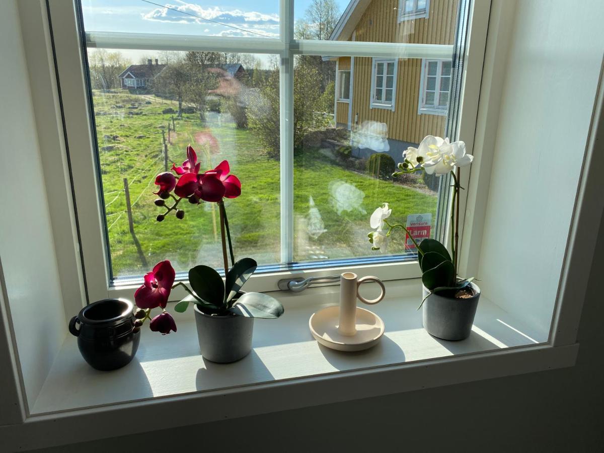 Skog Fegen Naera Ullared Villa Luaran gambar